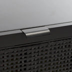 SAFAVIEH Capitola 2-Drawer Rattan Console Table - 42 In. W x 14 In. D x 31 In. H - 42Wx14Dx31H