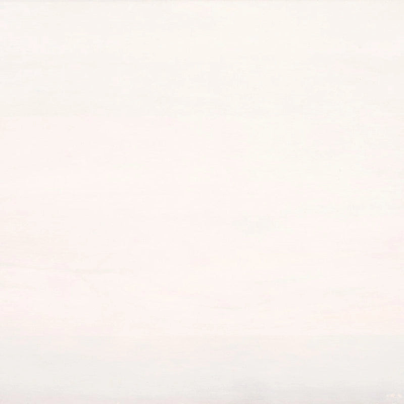 SAFAVIEH Ciji 2-Shelf 2-Door Media Stand (Fits Up To A 60 Flatscreen TV) - 55 In. W x 15 In. D x 26 In. H - 55Wx15Dx26H